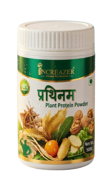 Energy Booster